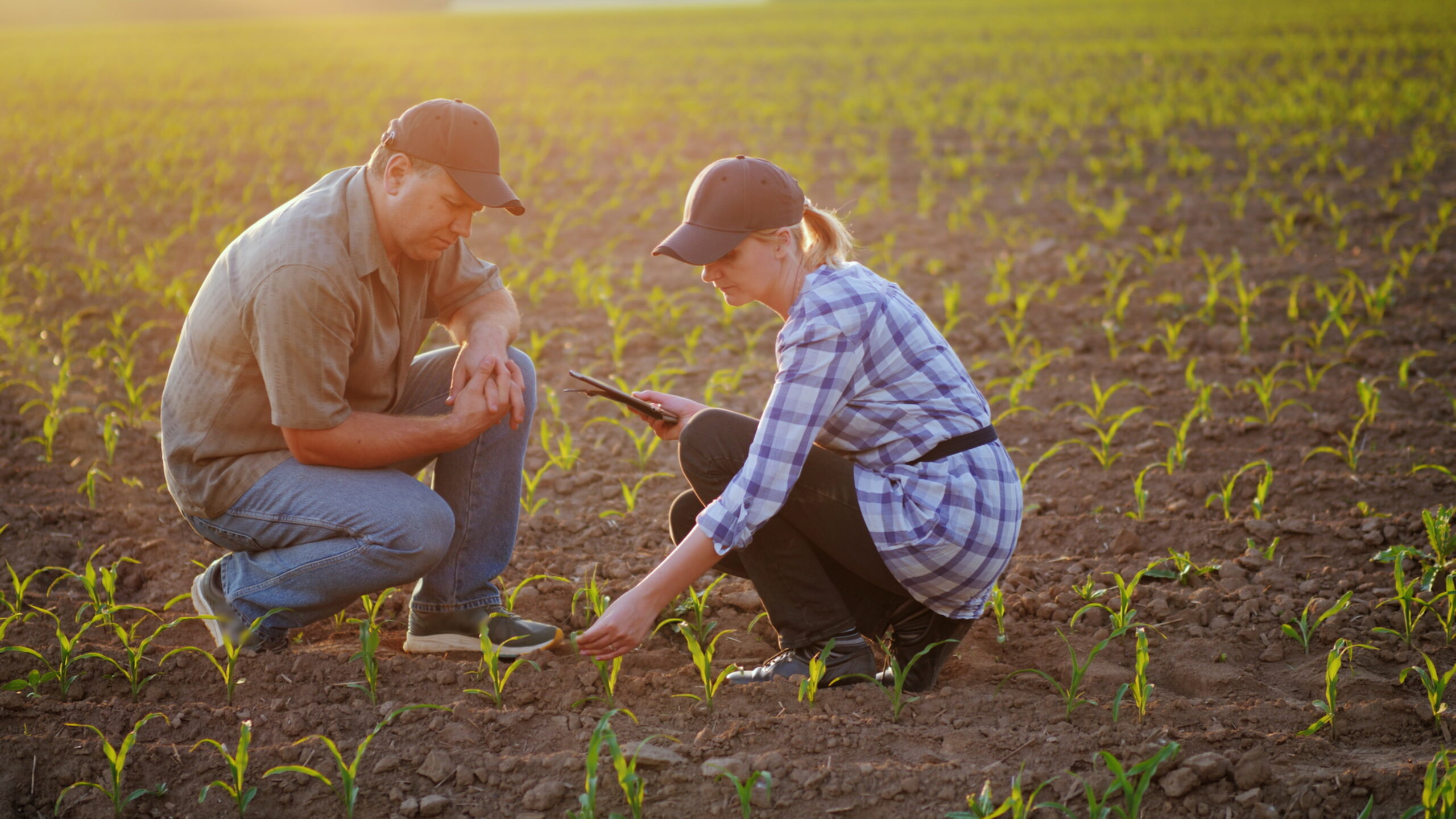 Farmers working in a field.